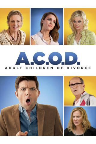 Взрослые дети развода (2013)