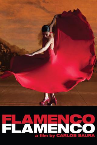 Фламенко, фламенко (2010)