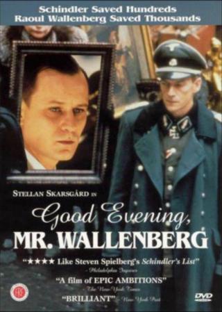 Добрый вечер, господин Валленберг (1990)