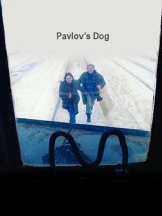 Собака Павлова (2005)