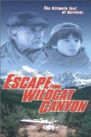 Бегство из опасного каньона (1998)