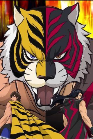 Тигровая маска W (2016)