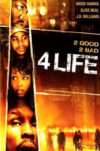 Четыре жизни (2007)