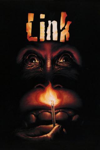 Линк (1986)
