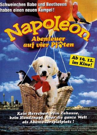 Наполеон (1995)