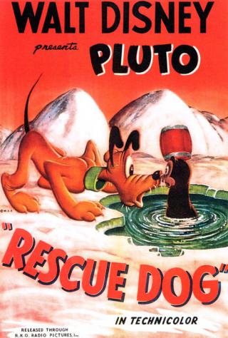 Собака-спасатель (1947)