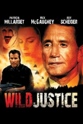 Жестокая справедливость (1994)