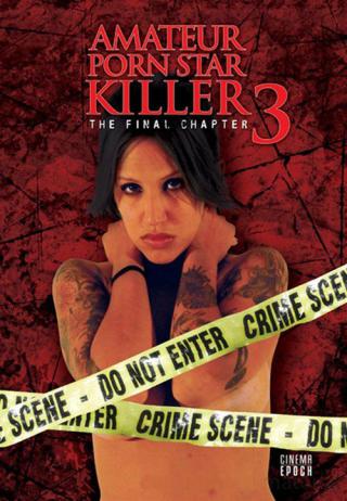 Убийца порнозвезды-любительницы 3: Последняя глава (2009)