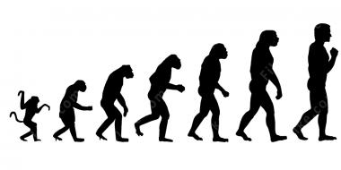 эволюция