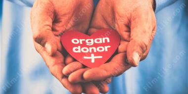 донорство органов