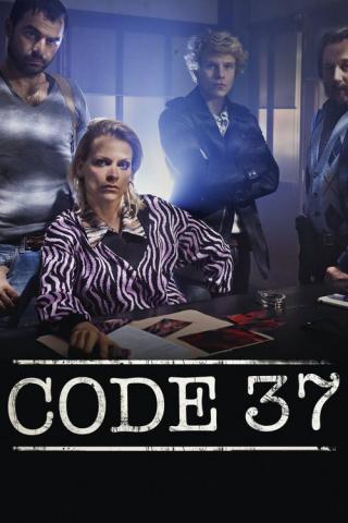 Код 37: Отдел секс-преступлений (2009)