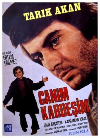 Дорогой брат (1973)