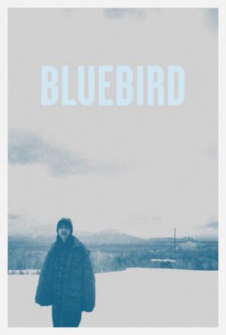 Синяя птица (2013)