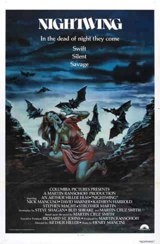 Ночное крыло (1979)
