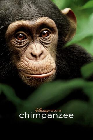 Шимпанзе (2012)