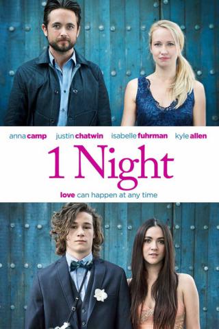 Одна ночь (2016)