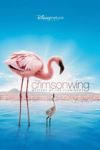 Пурпурные крылья - Тайна фламинго (2008)