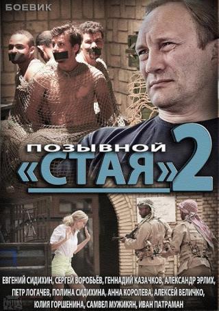 Позывной Стая 2 (2014)