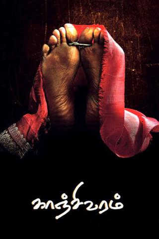 Свадебное сари (2008)