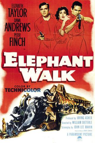 Прогулка на слоне (1954)