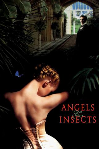 Ангелы и насекомые (1995)