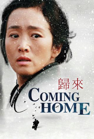 Возвращение домой (2014)
