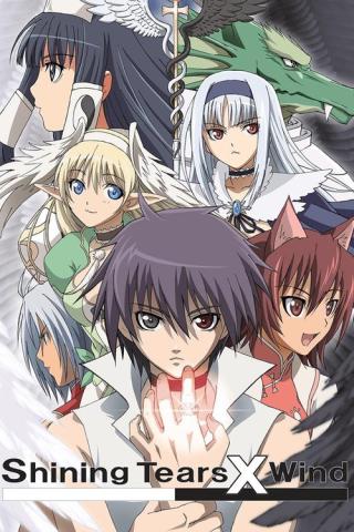 Сверкающие слёзы и ветер (2007)