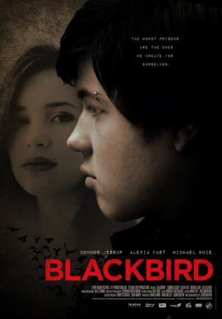 Чёрный дрозд (2012)