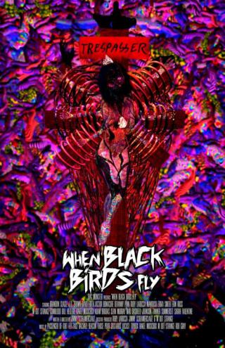 Когда прилетают черные птицы (2015)