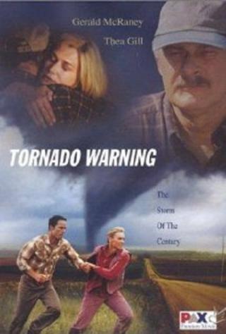 Идеальный торнадо (2002)