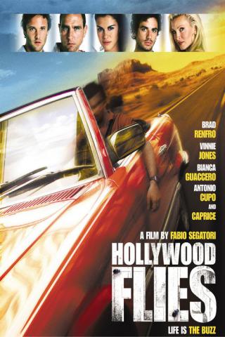 Налетчики из Голливуда (2005)
