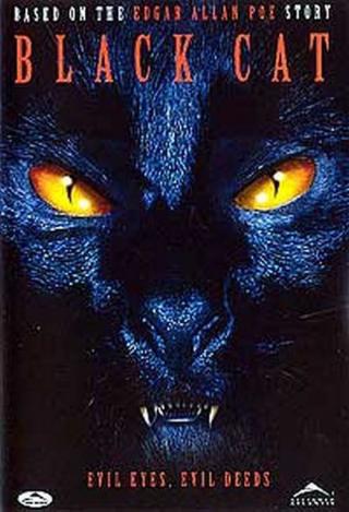 Черный кот (2004)