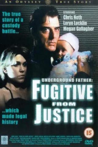 Похищение: История отцовской любви (1996)