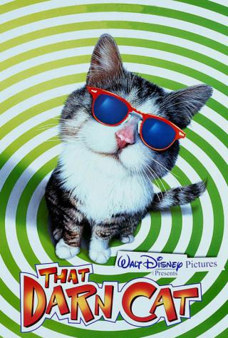 Эта дикая кошка (1997)