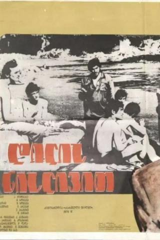 Как утренний туман (1976)