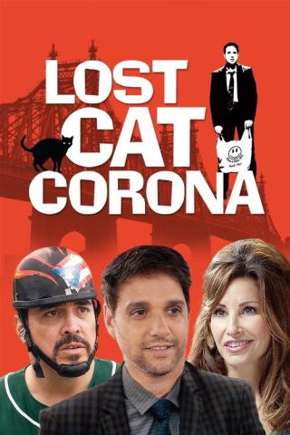 В Короне пропал кот (2017)