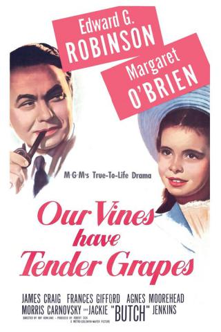 У нас растет нежный виноград (1945)