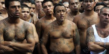 конкурирующая банда