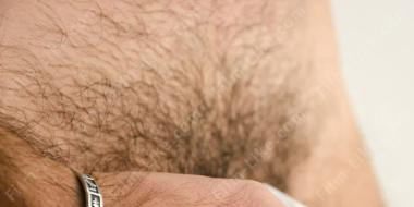 мужские лобковые волосы