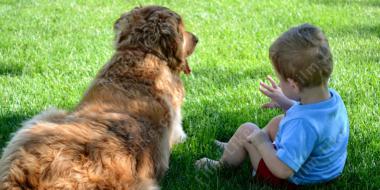 отношения собаки и мальчика